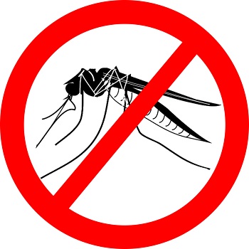 Зачастую маленькие комары могут на удивление сильно раздражать. К счастью, есть современные способы избавиться от них раз и навсегда на весь теплый сезон!