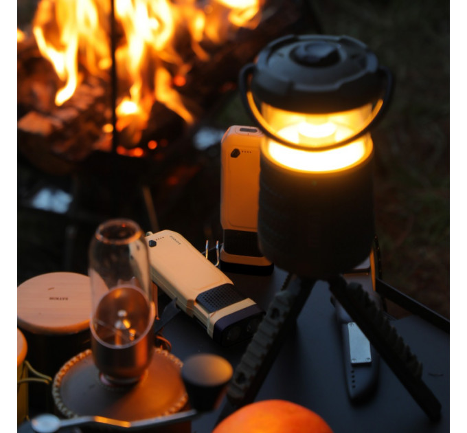 Электронный отпугиватель комаров Xiaomi SOLOVE P6 Brown RUS, 10000мАч